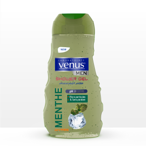 GEL DOUCHE MENTHE